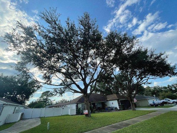 AB Landscaping and Tree Service LLC