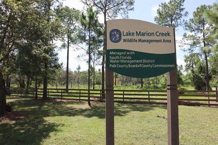 Lake Marion Creek Horseshoe Scrub Tract, South Property