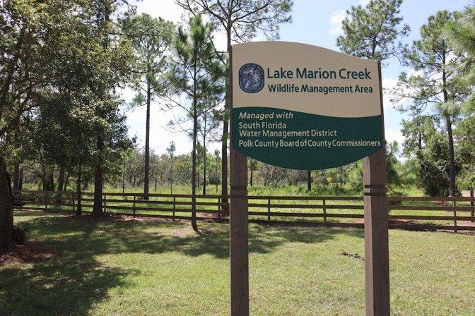 Lake Marion Creek Horseshoe Scrub Tract, South Property