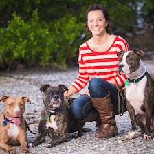 Gulf Coast K9 Dog Training