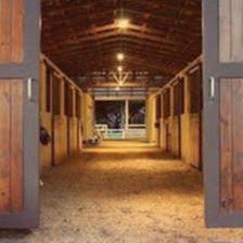 Paragon Stables