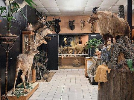 Boyett's Grove & Citrus Attraction