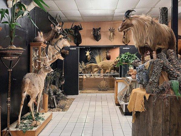 Boyett's Grove & Citrus Attraction