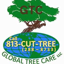 Global Tree Care