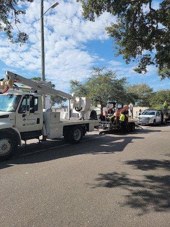 CHAMPION TREE CARE LLC