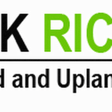Rick Richards inc