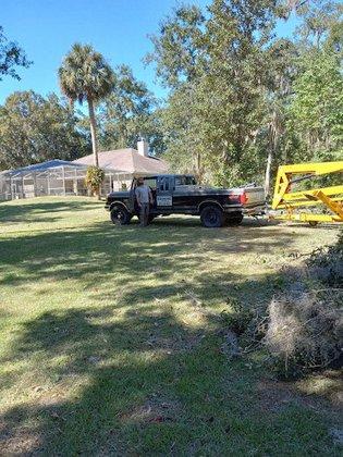 Dylan's Tree Service and Landscaping LLC