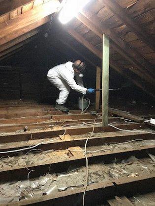 Central Termite & Pest Control