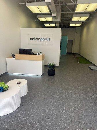 OrthoPaws - Animal Orthotics & Mobility Solutions