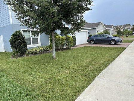 Next Door Lawncare and Landscaping