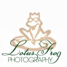 Lotus Frog Photography