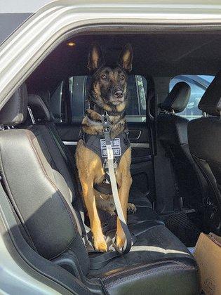 Metro Protection Service