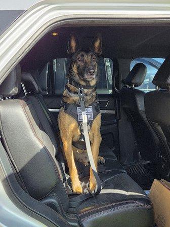 Metro Protection Service
