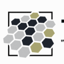 TILER PRO LLC