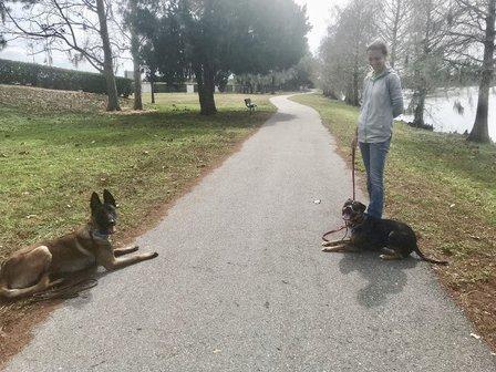 Gulf Coast K9 Dog Training