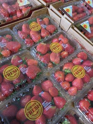 SLS Distribution Produce