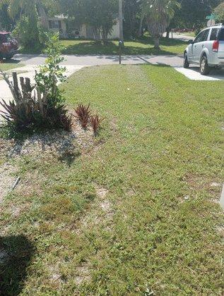 Emanuel landscaping service llc