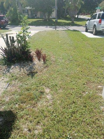 Emanuel landscaping service llc