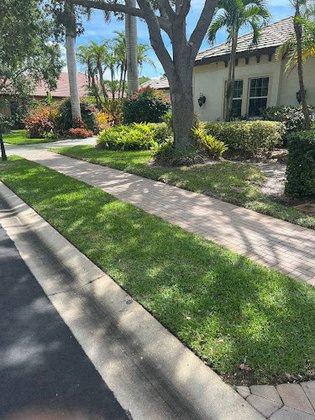 In Bloom Lawn & Landscape - Sarasota Landscaping