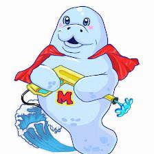 Manatee Wash LLC