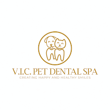 V.I.C. Pet Dental Spa - Oldsmar