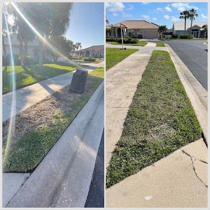 Landscape Rescue LLC