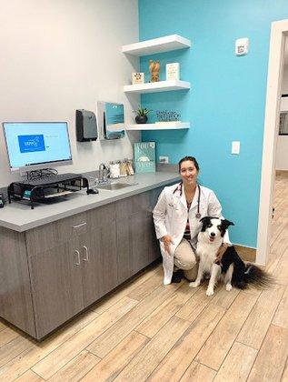 Pet Paradise Lakewood Ranch