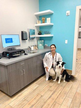Pet Paradise Lakewood Ranch