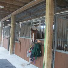 Horse Power Ranch