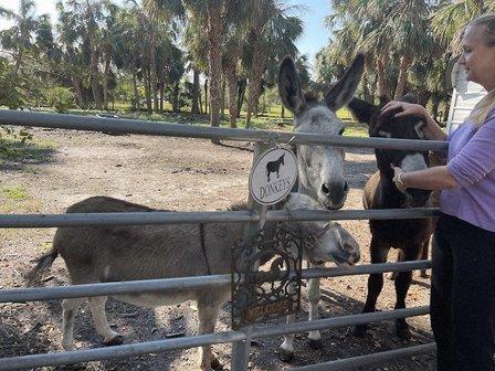 Fandango Sanctuary