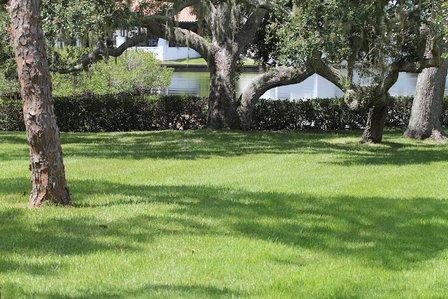 Agroze