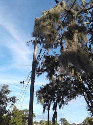 Pasco County Public Works Department