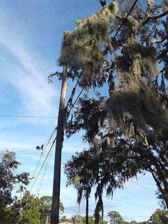 Pasco County Public Works Department