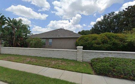 North Pinellas Anesthesia