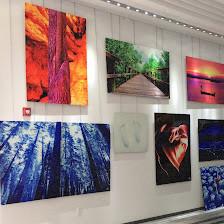 AlexArt International Art Gallery