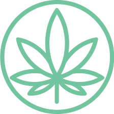 Cannabis Doc - New Port Richey Medical Marijuana Doctors & Marijuana Cards