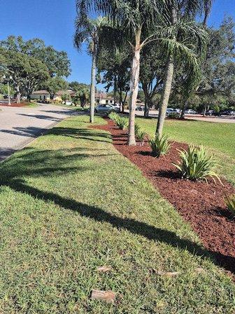 Mulch A Haulics