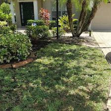 Evergreen Lawn Service
