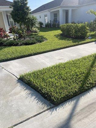 PHS-Professional Horticultural Services