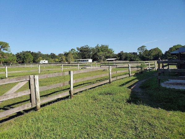 Branded Heart Stables