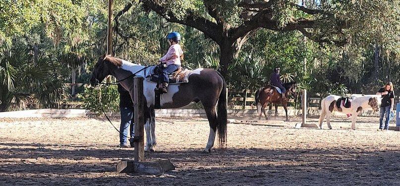 Silver Oaks Riding School