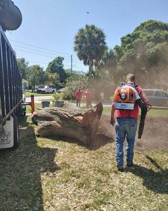 Stevens Tree Service