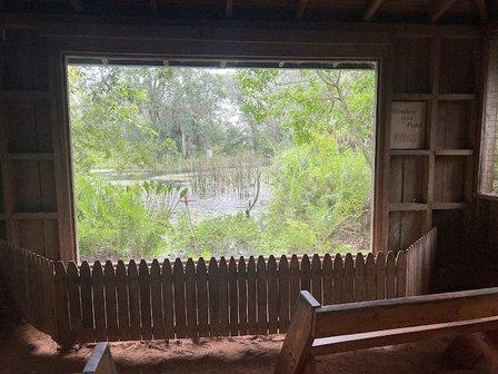 Window By The Pond