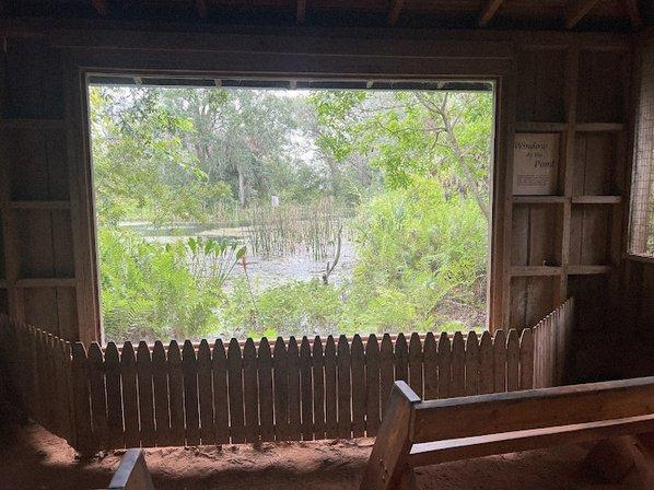 Window By The Pond
