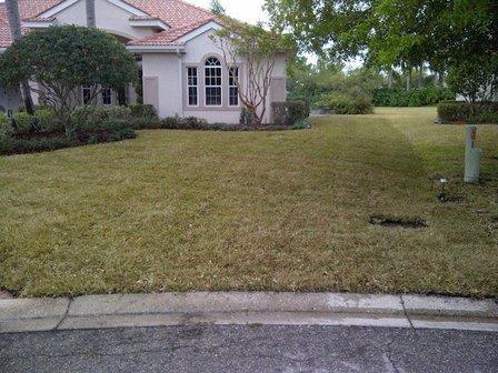 Evergreen Lawn Service