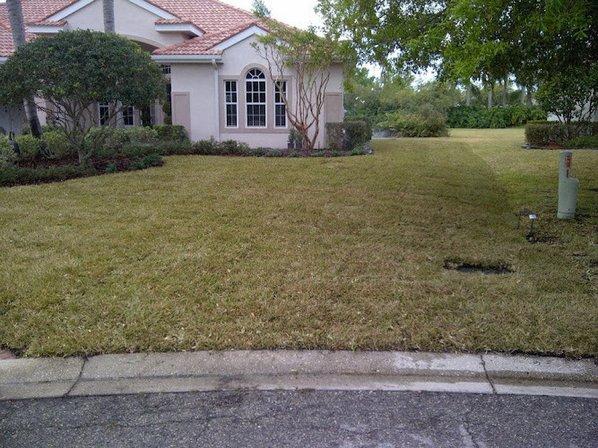 Evergreen Lawn Service