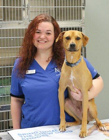 North River Animal Hospital