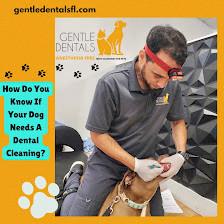 Gentle Dental for Pets