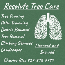 Resolute Tree Care