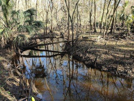Upper Hillsborough Wildlife Management Area